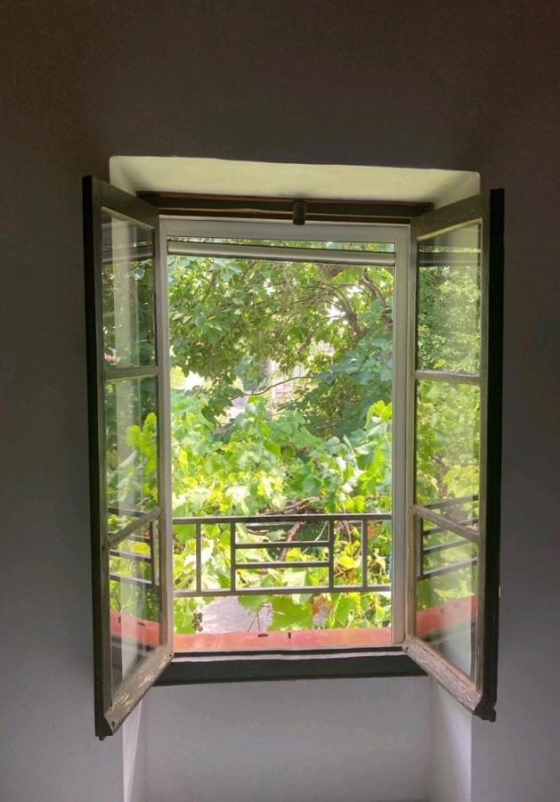 Traditional Provence House Карпентра Екстериор снимка